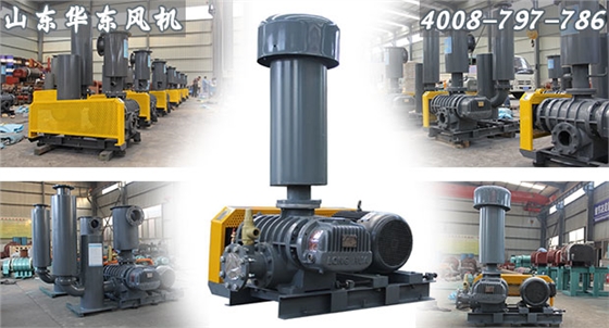 魯式風(fēng)機(jī) 魯式風(fēng)機(jī)