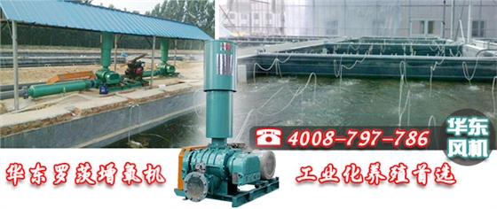 華東羅茨增氧機 華東羅茨增氧機