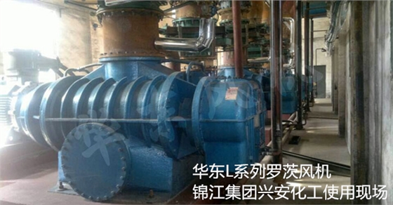 二葉羅茨風(fēng)機(jī) 二葉羅茨風(fēng)機(jī)