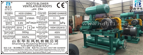 密集型羅茨風(fēng)機(jī) 密集型羅茨風(fēng)機(jī)