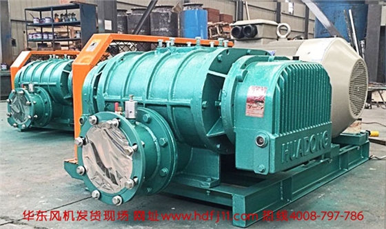 華東羅茨風(fēng)機(jī)發(fā)貨.jpg 華東羅茨風(fēng)機(jī)發(fā)貨.jpg