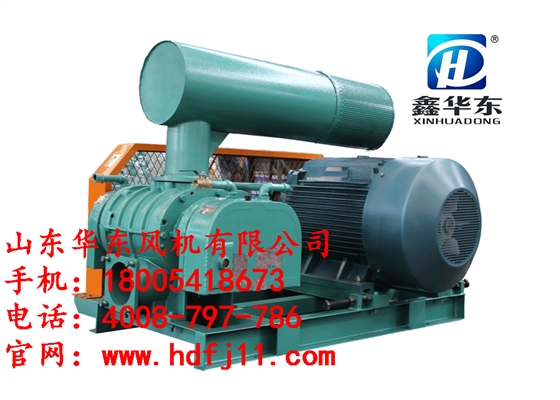 高壓羅茨鼓風(fēng)機(jī) 高壓羅茨鼓風(fēng)機(jī)