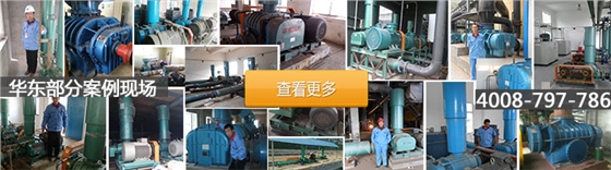 高壓羅茨鼓風(fēng)機(jī)案例 高壓羅茨鼓風(fēng)機(jī)案例