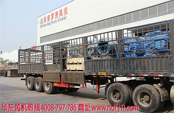 羅茨風(fēng)機(jī)廠家發(fā)貨.jpg 羅茨風(fēng)機(jī)廠家發(fā)貨.jpg