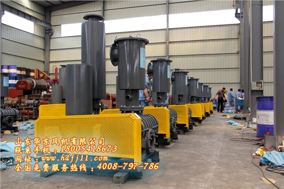 魯式鼓風(fēng)機(jī) 魯式鼓風(fēng)機(jī)