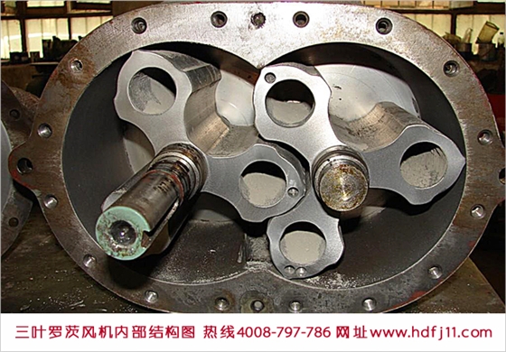 三葉羅茨風機內(nèi)部結(jié)構(gòu).jpg 三葉羅茨風機內(nèi)部結(jié)構(gòu).jpg