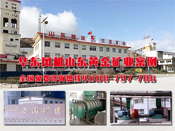 羅茨風(fēng)機 羅茨風(fēng)機