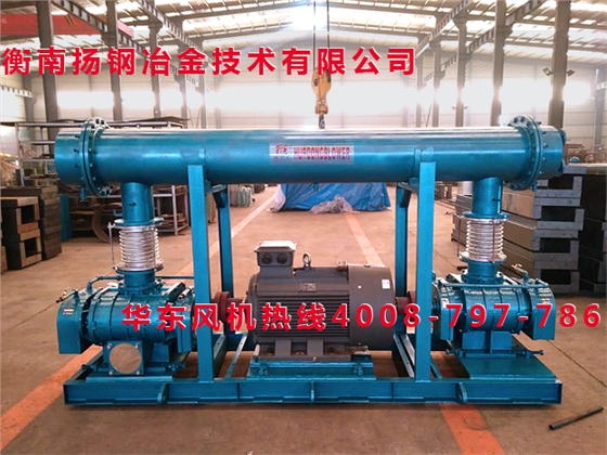 雙級(jí)串聯(lián)羅茨鼓風(fēng)機(jī) 雙級(jí)串聯(lián)羅茨鼓風(fēng)機(jī)