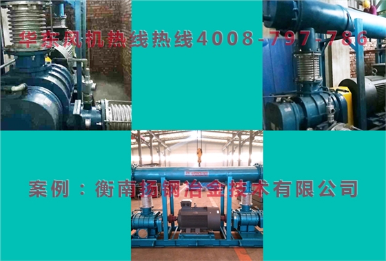 雙級(jí)串聯(lián)羅茨鼓風(fēng)機(jī) 雙級(jí)串聯(lián)羅茨鼓風(fēng)機(jī)