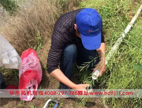 鱖魚養(yǎng)殖微孔曝氣增氧管路.jpg 鱖魚養(yǎng)殖微孔曝氣增氧管路.jpg