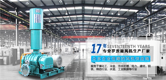 羅茨風(fēng)機(jī)廠家 羅茨風(fēng)機(jī)廠家