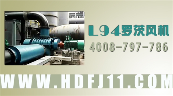 L94羅茨鼓風(fēng)機(jī)參數(shù)文字版.jpg L94羅茨鼓風(fēng)機(jī)參數(shù)文字版.jpg