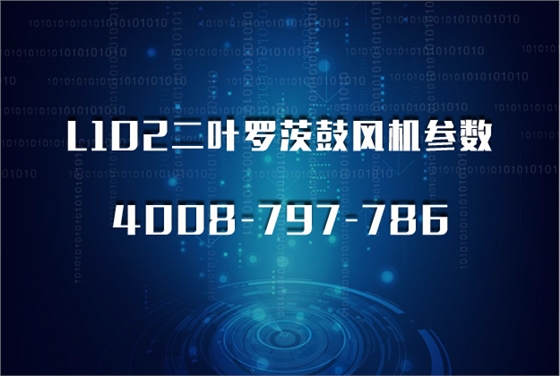 L型羅茨泵價02.jpg L型羅茨泵價02.jpg