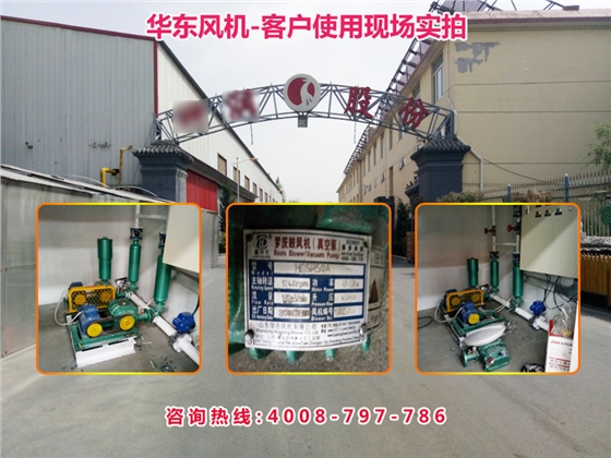 三葉羅茨風(fēng)機(jī) 三葉羅茨風(fēng)機(jī)