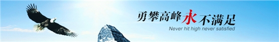 臺(tái)灣春鼎羅茨風(fēng)機(jī) 臺(tái)灣春鼎羅茨風(fēng)機(jī)