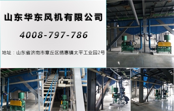 密集型羅茨風機 密集型羅茨風機