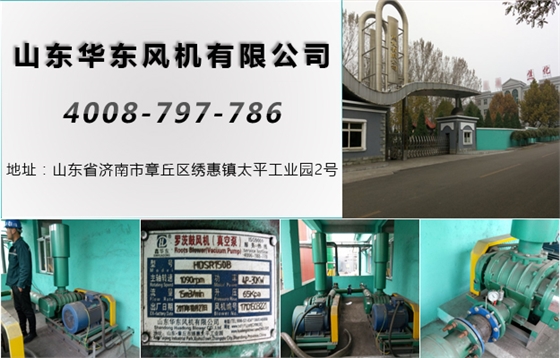 三葉羅茨風(fēng)機 三葉羅茨風(fēng)機