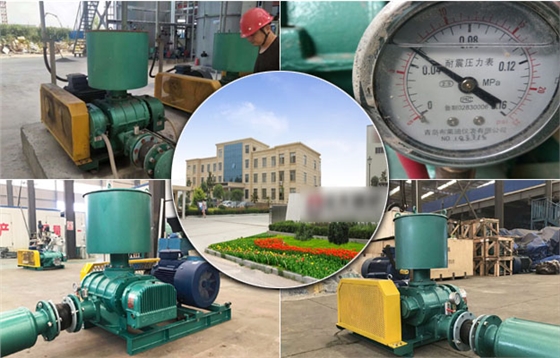 羅茨風(fēng)機 羅茨風(fēng)機