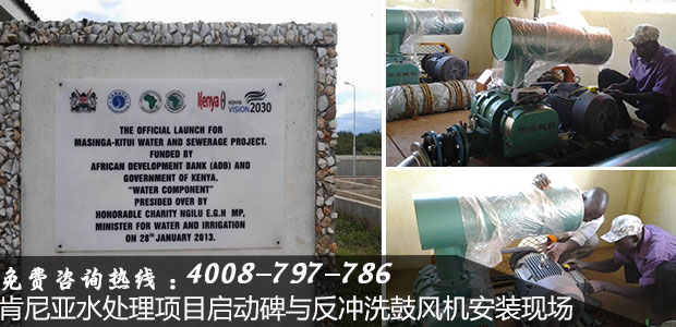 反沖洗羅茨風(fēng)機(jī) 反沖洗羅茨風(fēng)機(jī)