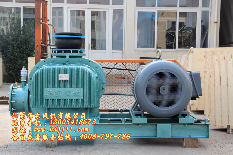 負(fù)壓羅茨風(fēng)機(jī) 負(fù)壓羅茨風(fēng)機(jī)