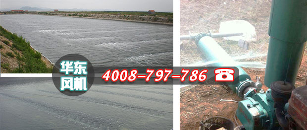 羅茨式增氧機 羅茨式增氧機