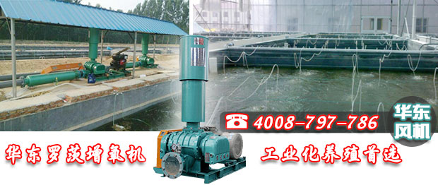 羅茨式增氧機 羅茨式增氧機