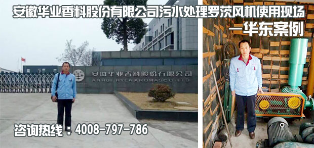 安徽華業(yè)香料污水處理用羅茨風機使用現(xiàn)場 安徽華業(yè)香料污水處理用羅茨風機使用現(xiàn)場