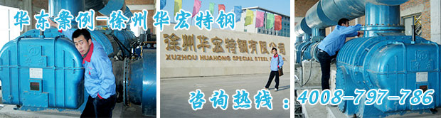 L系列羅茨風機 L系列羅茨風機