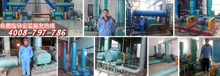 三葉羅茨風(fēng)機(jī)使用現(xiàn)場(chǎng)圖 三葉羅茨風(fēng)機(jī)使用現(xiàn)場(chǎng)圖