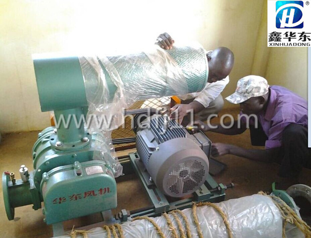 出口羅茨風(fēng)機(jī) 出口羅茨風(fēng)機(jī)