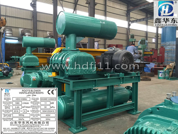 出口羅茨風(fēng)機(jī) 出口羅茨風(fēng)機(jī)