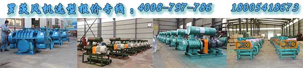 污水處理用羅茨風(fēng)機(jī) 污水處理用羅茨風(fēng)機(jī)