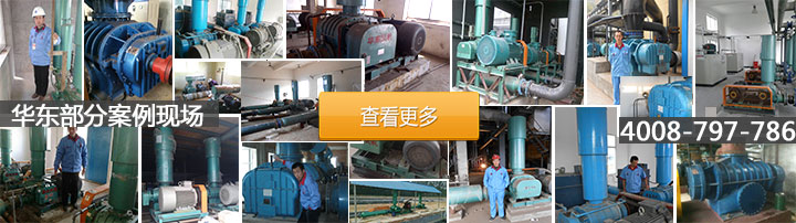 高壓羅茨鼓風(fēng)機案例 高壓羅茨鼓風(fēng)機案例