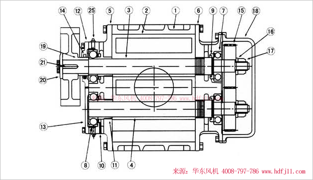 三葉羅茨風(fēng)機內(nèi)部結(jié)構(gòu)圖-縱切圖.jpg 三葉羅茨風(fēng)機內(nèi)部結(jié)構(gòu)圖-縱切圖.jpg