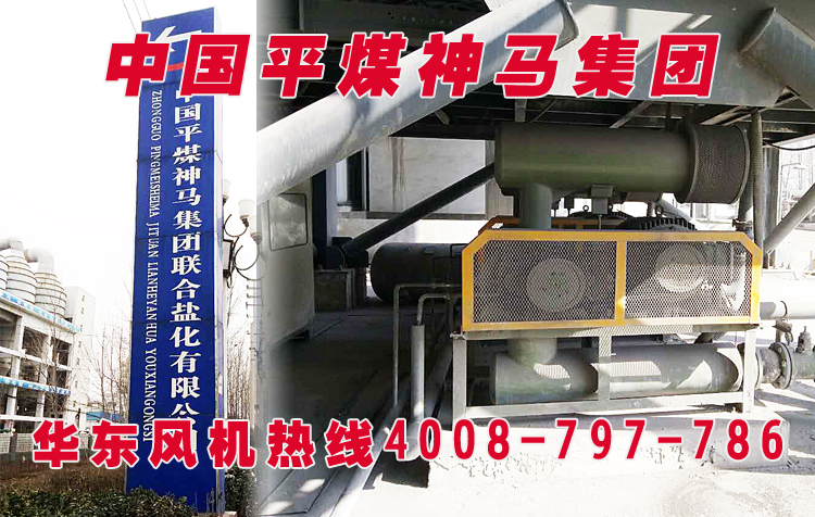 密集型羅茨鼓風(fēng)機 密集型羅茨鼓風(fēng)機