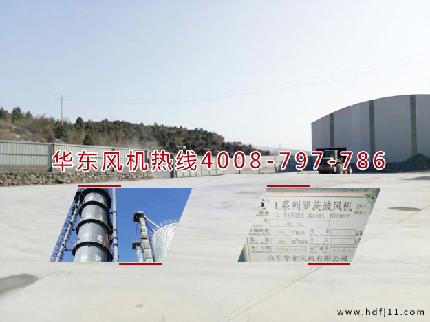 二葉羅茨風(fēng)機 二葉羅茨風(fēng)機