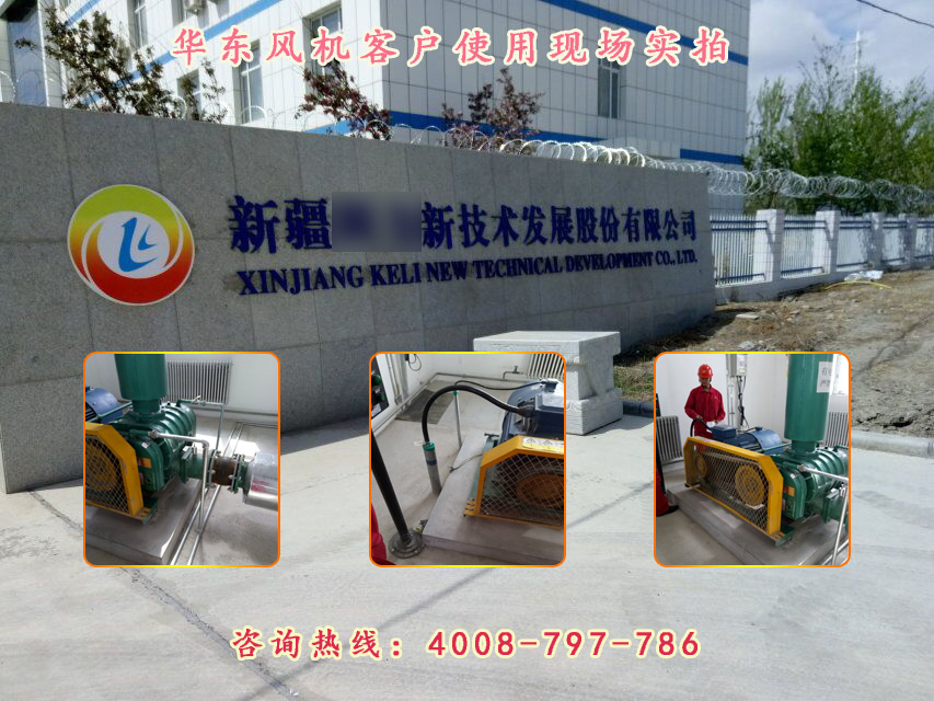 三葉羅茨風(fēng)機(jī) 三葉羅茨風(fēng)機(jī)