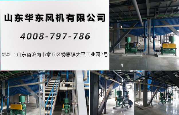 密集型羅茨風(fēng)機(jī) 密集型羅茨風(fēng)機(jī)