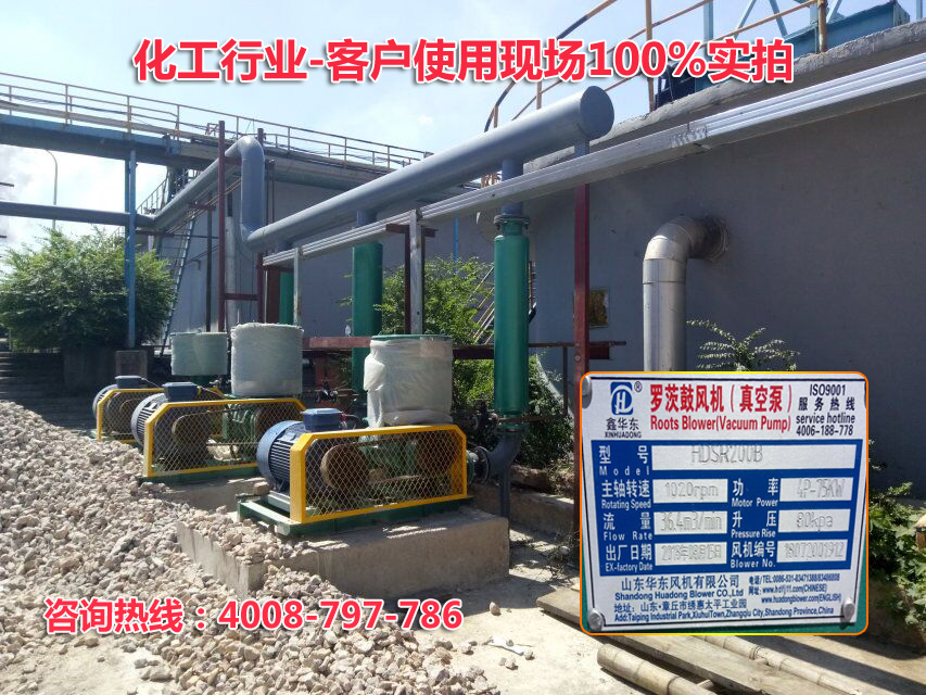 羅茨風(fēng)機(jī) 羅茨風(fēng)機(jī)