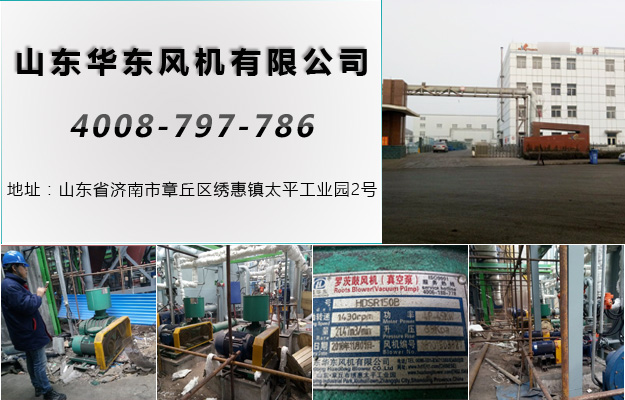 三葉羅茨風(fēng)機(jī) 三葉羅茨風(fēng)機(jī)