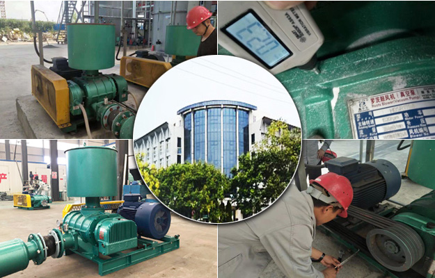 羅茨風(fēng)機(jī) 羅茨風(fēng)機(jī)