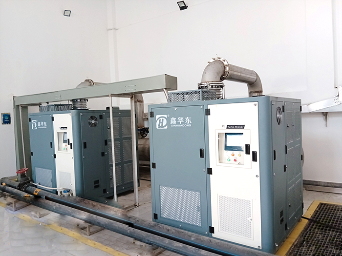 IMG_20240415_090757321(1).jpg IMG_20240415_090757321(1).jpg