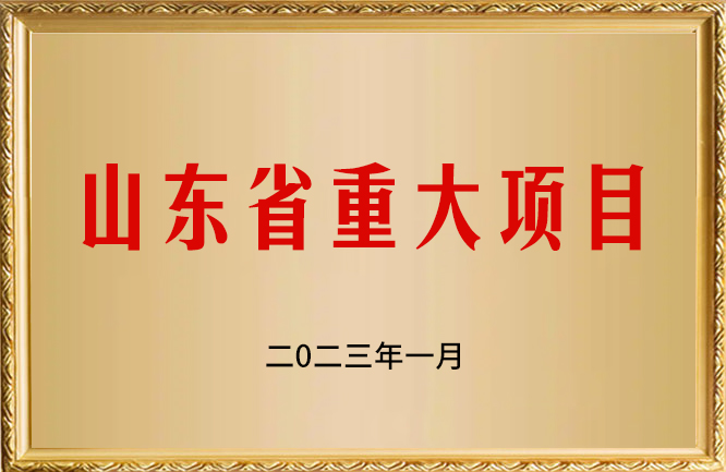 華東榮譽(yù)-山東省重大項(xiàng)目