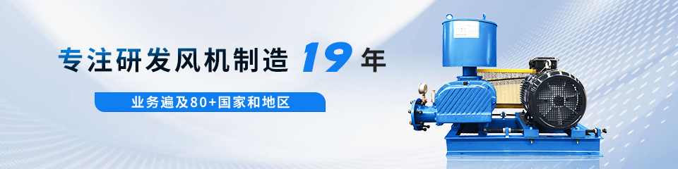 羅茨風(fēng)機(jī) 羅茨風(fēng)機(jī)