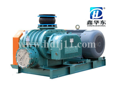 HDSR-300V羅茨真空泵 HDSR-300V羅茨真空泵