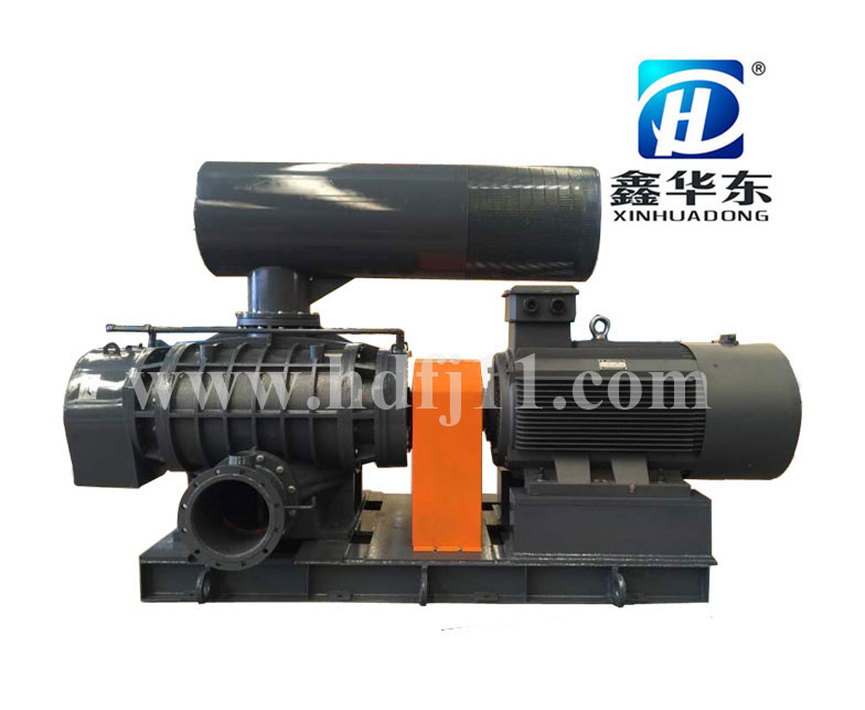 HDRE-145型羅茨鼓風(fēng)機 HDRE-145型羅茨鼓風(fēng)機